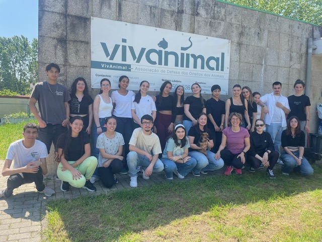 VIVANIMAL: DOCE VOLUNTARIADO