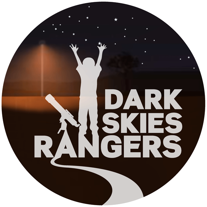dsr logo