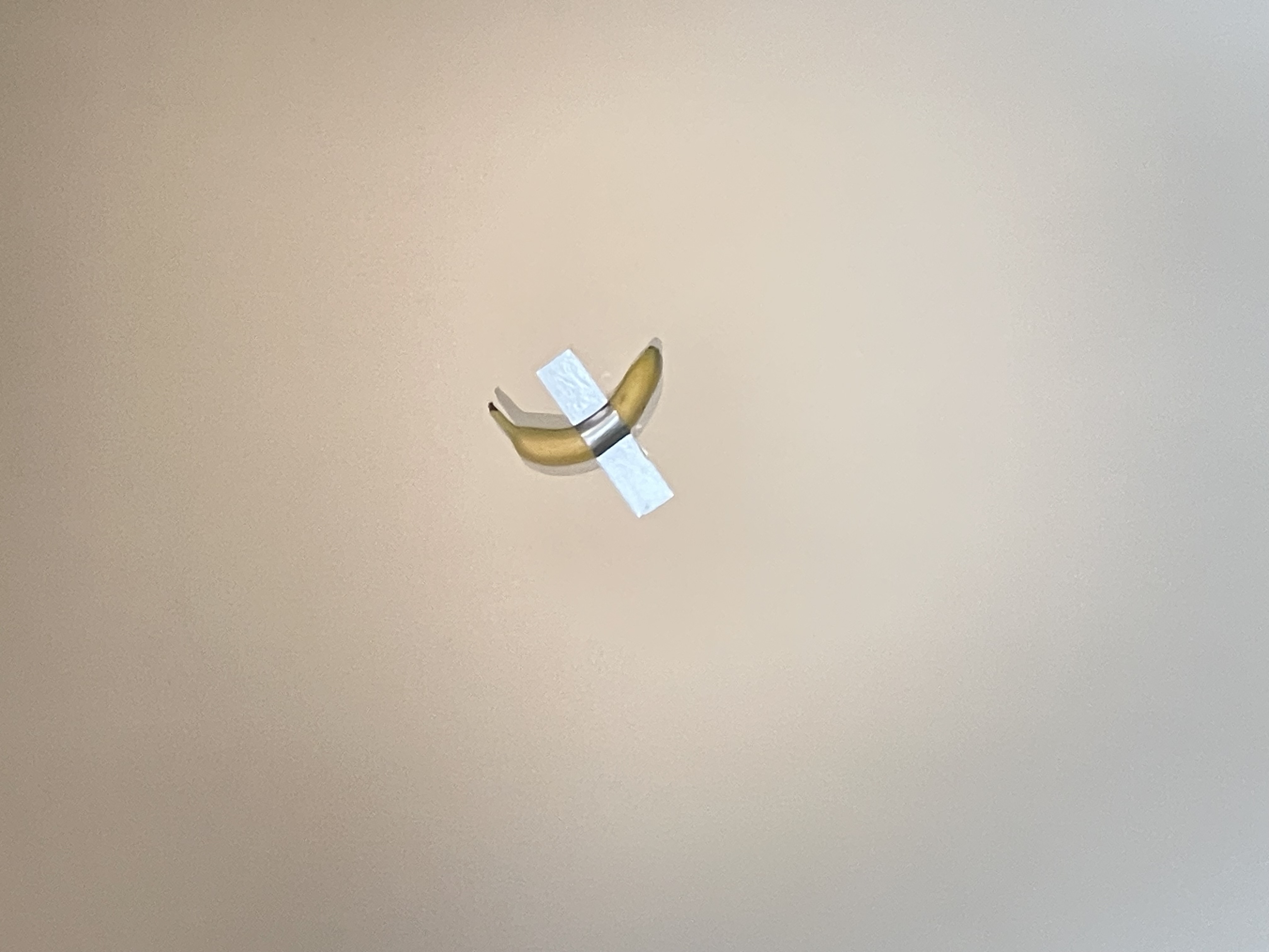 VISITA GUIADA EM SERRALVES - EXPOSIÇÃO 